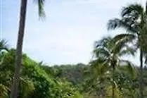 Hawksbill Resort Antigua Five Islands Village Hotel
